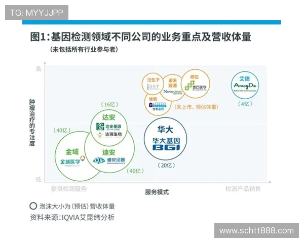 数据分析视角下液化天然气市场意识与趋势的深度探讨与解读