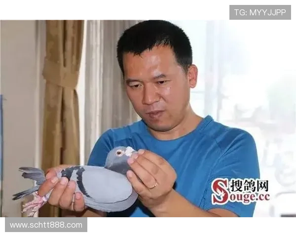 陈磊独家分享飞盘技巧与心得体会助你提升竞技水平与乐趣