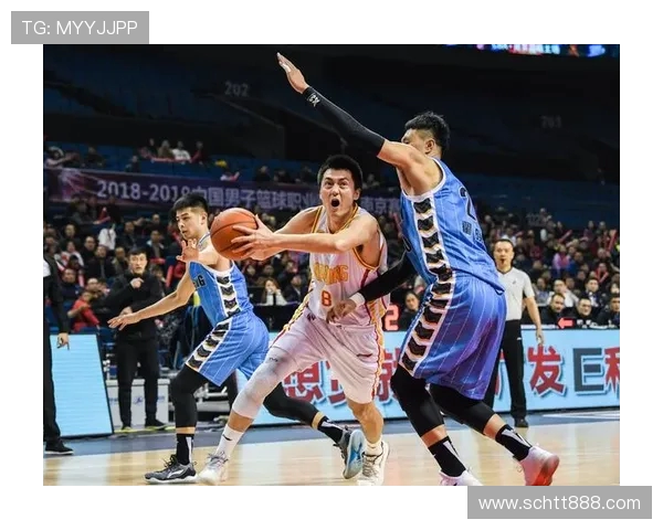 南京篮球队近期状态分析与表现评估全面解读